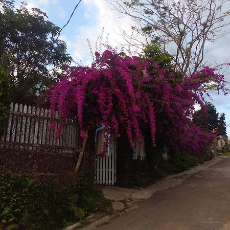 Ly'S Homestay Gia Nghia Экстерьер фото