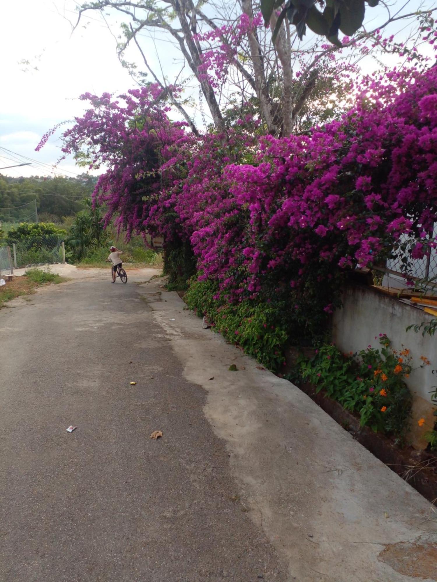 Ly'S Homestay Gia Nghia Экстерьер фото