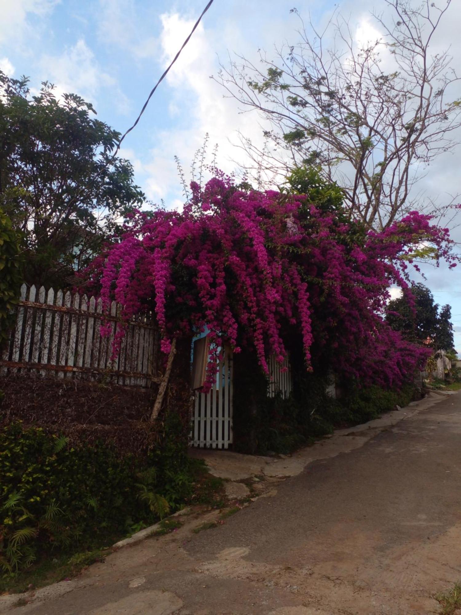 Ly'S Homestay Gia Nghia Экстерьер фото